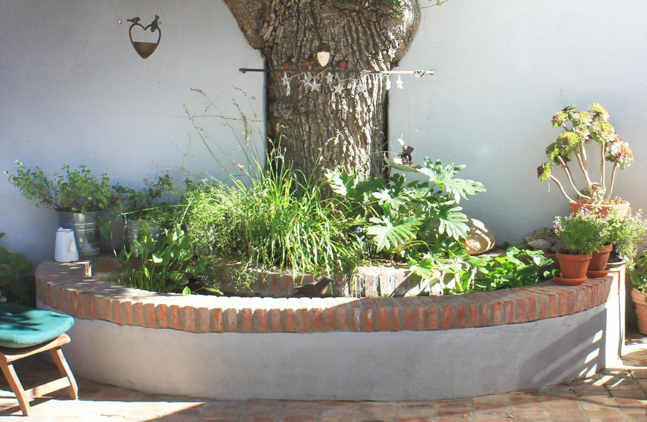 Himmelblau Boutique Bed And Breakfast Kapstadt Exterior foto